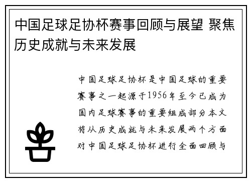 中国足球足协杯赛事回顾与展望 聚焦历史成就与未来发展
