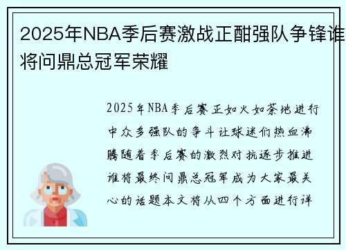 2025年NBA季后赛激战正酣强队争锋谁将问鼎总冠军荣耀